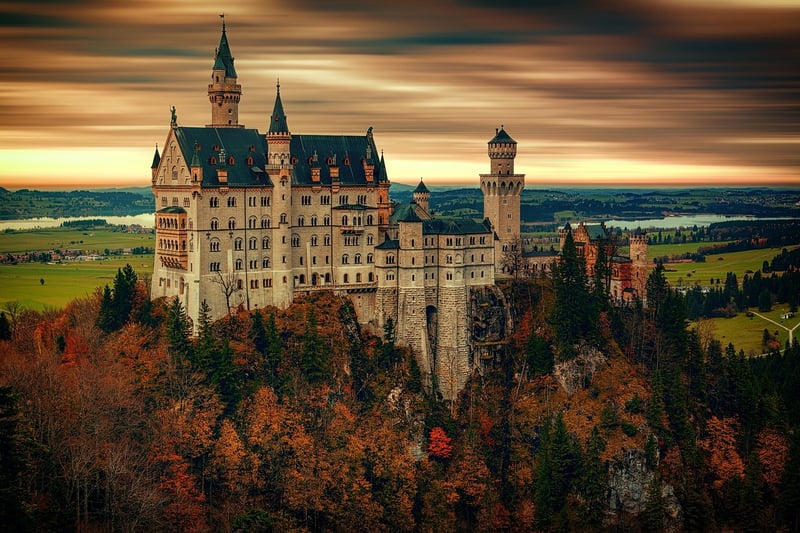 Enchanted Forest
