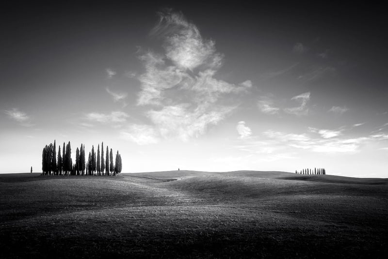 Tuscany Barn